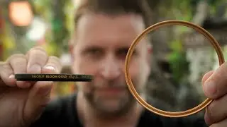 BLOOM GOLD: My Truly Stunning Diffusion Filters