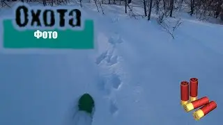 Фото охота. Самарская область