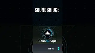Top 5 Audio Recording & Editing Softwares For PC 🎶 #audio #software #pc #fyp #audacity