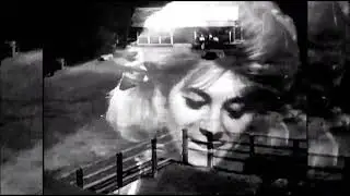 Sheila - Le ranch de mes rêves 