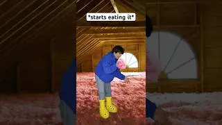 When You Think There’s Cotton Candy In The Attic 