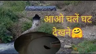 आ लौट चलें अपने पुराने रीती रिवाज की ओर||आज से हम भी चक्की के नहीं घट (घराट) की पिसाई खाएंगे🙏🏻🙏🏻