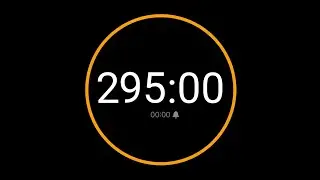 295 Minute Timer with Alarm