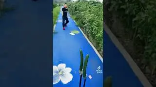 Flying cards a wonderful