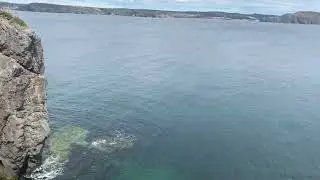 Newfoundland Scenery May 2023