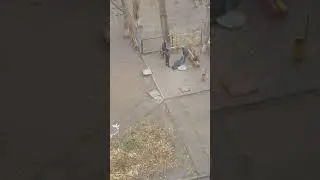 Полиция издевается над бомжом
