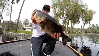 Giant 10lbs Bass Catch!
