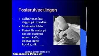 Samlevnad mål B