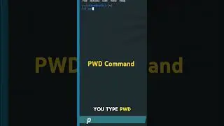 How to Use PWD Command | Linux Terminal Tutorial | Cybersecurity Essentials | Kali Linux