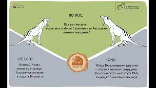 сумчатый волк