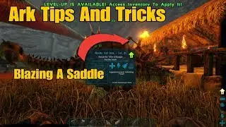 Ark Tips And Tricks. Blazing A Saddle.