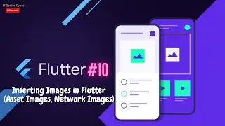 Inserting Images in Flutter (Asset Images, Network Images)