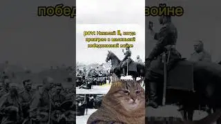✍️ Дорогой дневник ... #история #историяроссии #историяегэ #егэ #николай2 #япония #внешняяполитика