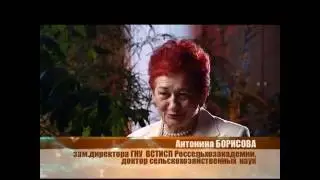 Пища богов, 13 выпуск