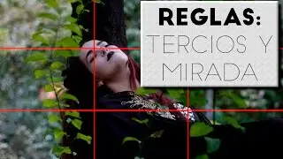 COMPOSICIÓN: Regla de los tercios y de la mirada