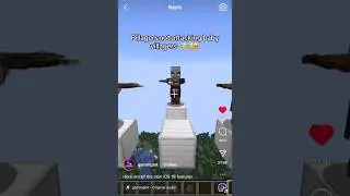 Pillagers not attacking baby villagers 🫡🫡🥹