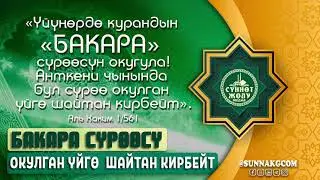 Бакара сүрөөсү окулган үйгө жин-шайтан кирбейт.  Бакара сүрөөсү.