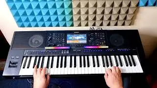 АРЫС ЖАҒАСЫНДА Cover-Ершат Болатұлы #шәмші әндері#ШӘМШІ ҚАЛДАЯҚОВ