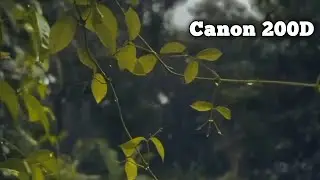 Canon  200d marck ii 4k cinematic video