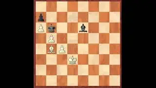 Chess Beauty #98