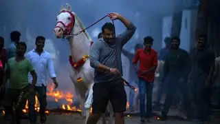 Darshan Celebrates Sankranti 2021 | Boss Farmhouse | Man Of Culture-DBoss