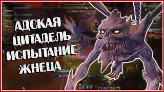 Сводил деда в Цитадель | Neverwinter Online | M26