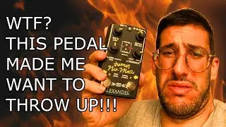 Alexander Pedals Super Neo-Matic: Random flanging, lo-fi delay insanity!!!!!!!!