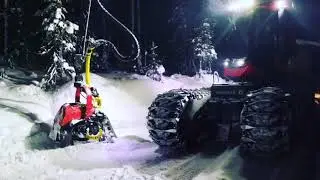 Скоро на канале || Валка леса, вахта.