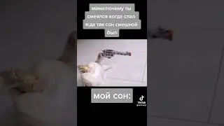 мемас из тик тока