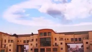 ГУЛ НЕБЕС ПОПАВШИЙ В ОБЪЕКТИВ КАМЕРЫ