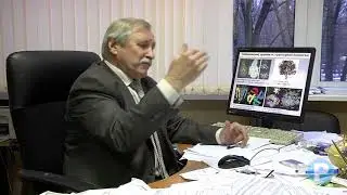 СИНХРОТРОННОЕ ИЗЛУЧЕНИЕ И РЕНТГЕНОВСКИЕ ЛАЗЕРЫ