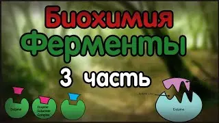 Биохимия. Лекция 23. Ферменты. Part 3.