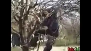 Фейл на дереве   Russian Guy FAIL