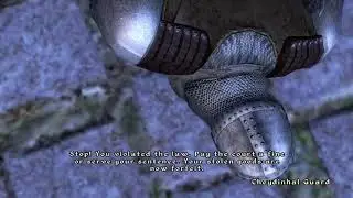 OblivionGuard.mp4