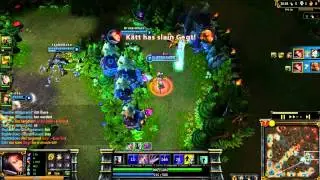 Fiora Ult Example
