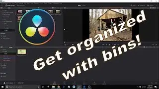 DaVinci Resolve 15 using bins