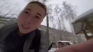 коричневая обезьянка вылазиет