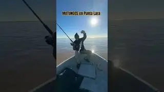 MATUNGOS en Punta Lara #pejerrey