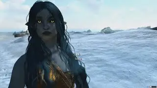 Skyrim Celyria follower mod