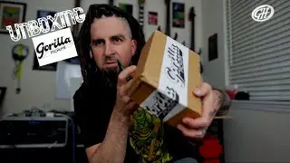 Gorilla Pickups The Alchemist Unboxing