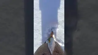 ПРАКТИКА ЗАЗЕМЛЕНИЕ🌎 Подготовка к энергетической коррекции🌎