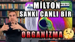 Milton Sanki Canlı Bir Organizma | 10.10.2024
