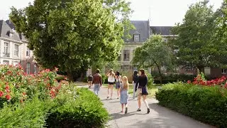 summer in the north of france
