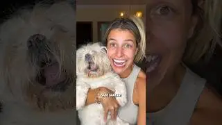 SINGING DOG 