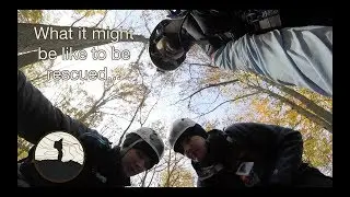 What it may be like to be rescued...