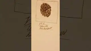 1916 ERROR [0xc10100bf] ERROR [HTML5 video file not found] ERROR [0xc10100bf] ERROR [HTML5 video fil