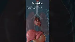 Potassium Deficiency