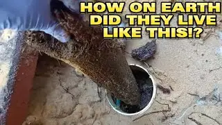 I was speechless when I saw what was living inside this Blocked Drain