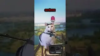 Командир в кого стрелять?
