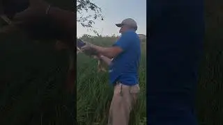 Астраханская область Знаменск трофейная щука